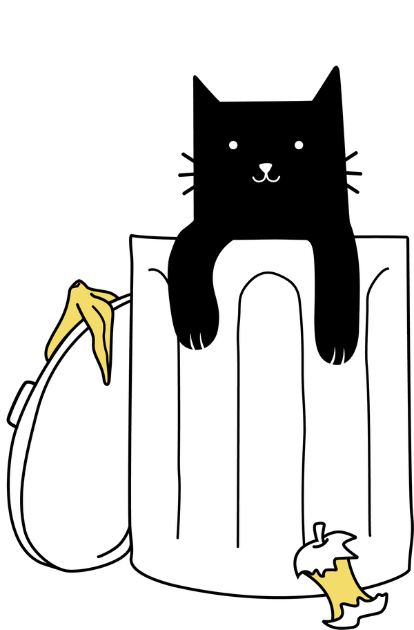 Junkyard Cat